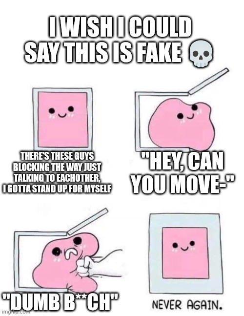 True story ._. | I WISH I COULD SAY THIS IS FAKE 💀; "HEY, CAN YOU MOVE-"; THERE'S THESE GUYS BLOCKING THE WAY JUST TALKING TO EACHOTHER, I GOTTA STAND UP FOR MYSELF; "DUMB B**CH" | image tagged in never again | made w/ Imgflip meme maker