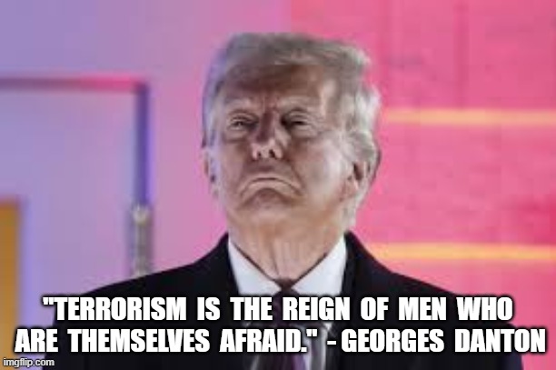 Nothing to Fear Here | "TERRORISM  IS  THE  REIGN  OF  MEN  WHO  ARE  THEMSELVES  AFRAID."  - GEORGES  DANTON | image tagged in donald trump | made w/ Imgflip meme maker