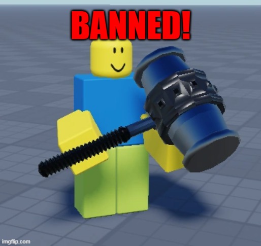 Banned | BANNED! | image tagged in fun,roblox,gaming | made w/ Imgflip meme maker