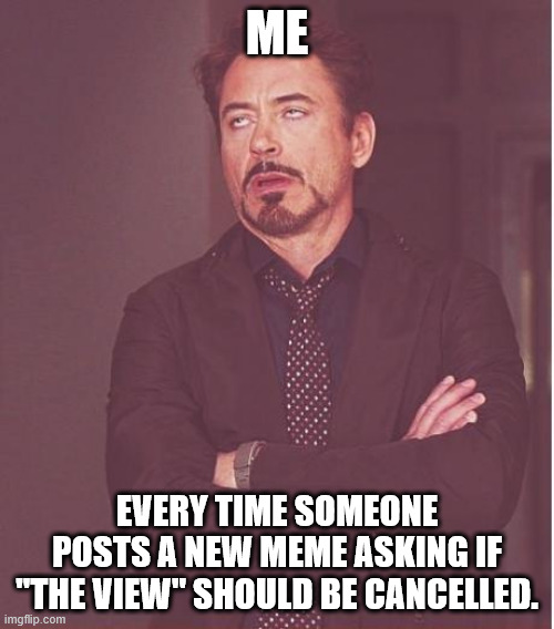 Face You Make - The View | ME; EVERY TIME SOMEONE POSTS A NEW MEME ASKING IF "THE VIEW" SHOULD BE CANCELLED. | image tagged in memes,face you make robert downey jr | made w/ Imgflip meme maker