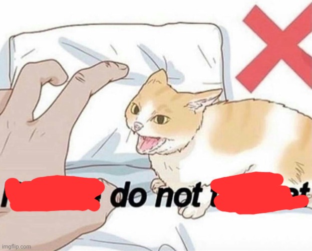 Please do not the cat | image tagged in please do not the cat | made w/ Imgflip meme maker