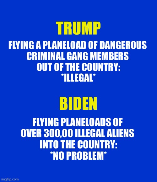 If not for double standards, they would have no standards at all | TRUMP; FLYING A PLANELOAD OF DANGEROUS 
CRIMINAL GANG MEMBERS 
OUT OF THE COUNTRY:
*ILLEGAL*; BIDEN; FLYING PLANELOADS OF 
OVER 300,00 ILLEGAL ALIENS 
INTO THE COUNTRY:
*NO PROBLEM* | image tagged in blank blue - large | made w/ Imgflip meme maker