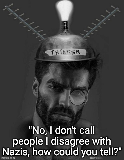 Thinker | "No, I don't call people I disagree with Nazis, how could you tell?" | image tagged in thinker | made w/ Imgflip meme maker