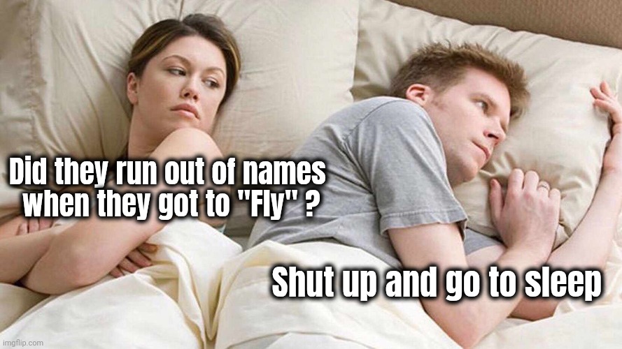 Enough of this discussion | Did they run out of names
 when they got to "Fly" ? Shut up and go to sleep | image tagged in memes,i bet he's thinking about other women,flies,flying,why is my sister's name rose,buzz look an alien | made w/ Imgflip meme maker