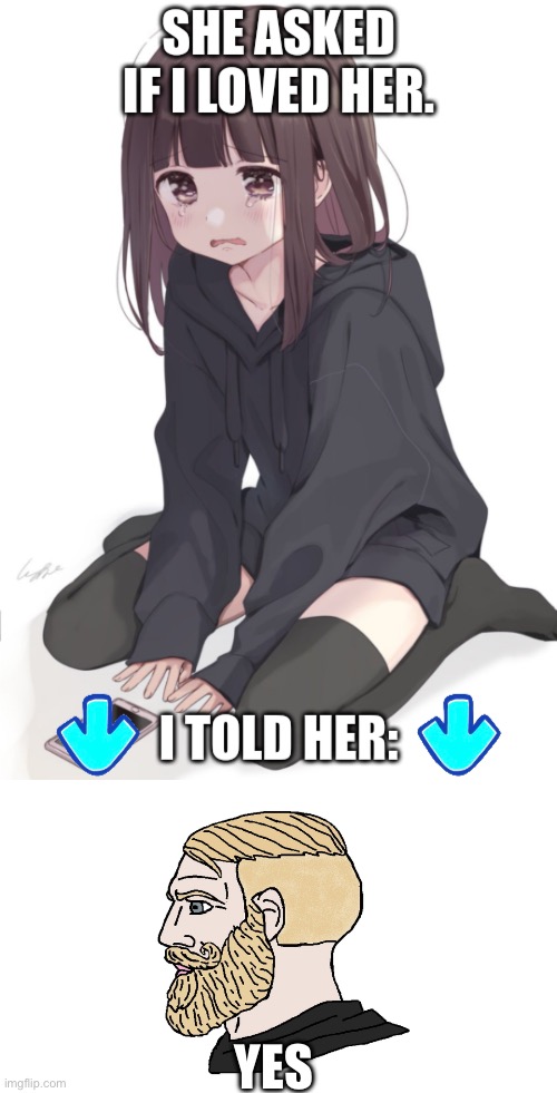 YES | image tagged in she asked if i loved her,yes chad | made w/ Imgflip meme maker