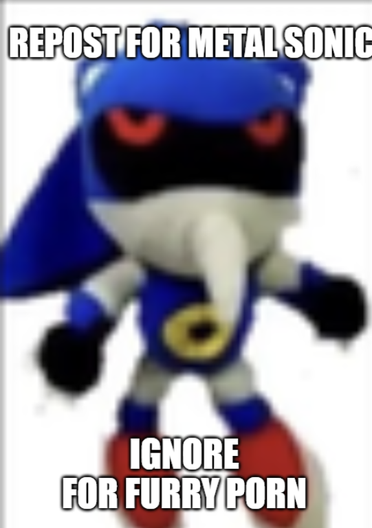 stop the furry porn Blank Meme Template