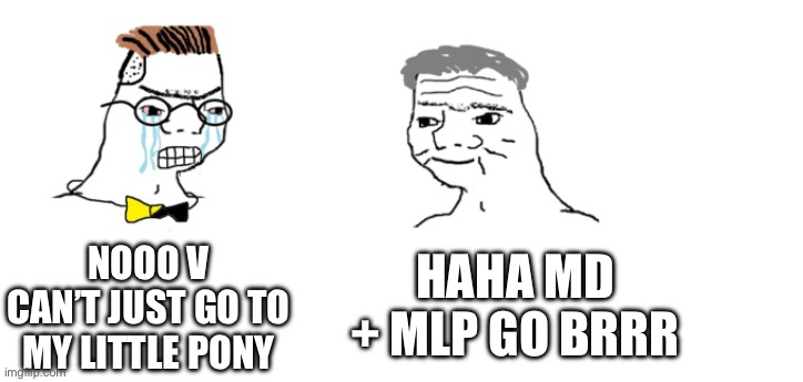 nooo haha go brrr | NOOO V CAN’T JUST GO TO MY LITTLE PONY HAHA MD + MLP GO BRRR | image tagged in nooo haha go brrr | made w/ Imgflip meme maker