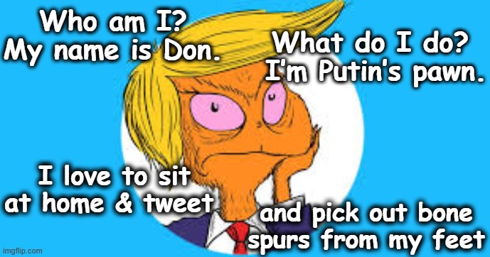 tRump's Greatest Talents a la Dr. Seuss | Who am I? My name is Don. What do I do?  I’m Putin’s pawn. I love to sit at home & tweet; and pick out bone spurs from my feet | image tagged in trump putin,donald trump memes,trump is a moron,fascists,time magazine person of the year,presidential alert | made w/ Imgflip meme maker