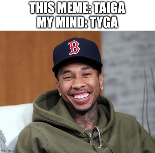 Tyga | THIS MEME: TAIGA
MY MIND: TYGA | image tagged in tyga | made w/ Imgflip meme maker