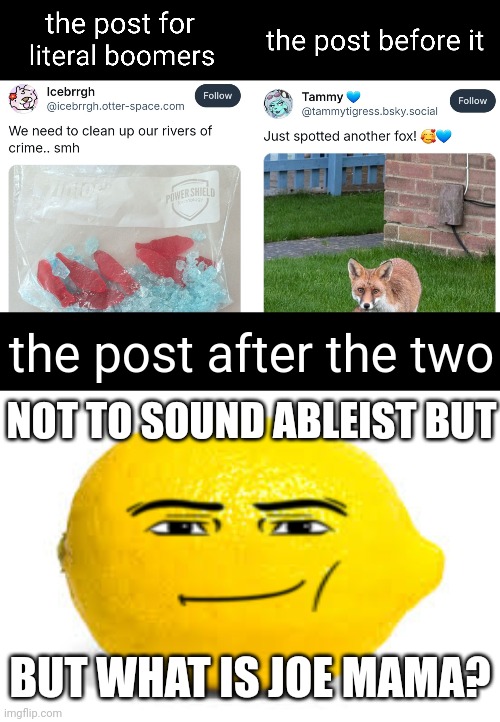 haha jonathan I made a meme about social media posts | the post after the two; NOT TO SOUND ABLEIST BUT; BUT WHAT IS JOE MAMA? | image tagged in when life gives you lemons x | made w/ Imgflip meme maker