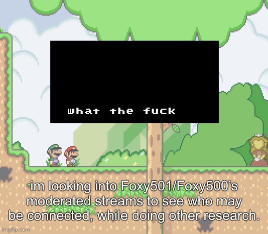 finna debunk this for GOOD. | im looking into Foxy501/Foxy500’s moderated streams to see who may be connected, while doing other research. | image tagged in smw what the fuck | made w/ Imgflip meme maker
