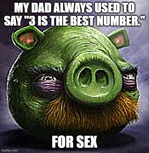 pig | MY DAD ALWAYS USED TO SAY "3 IS THE BEST NUMBER."; FOR SEX | image tagged in fun fact | made w/ Imgflip meme maker