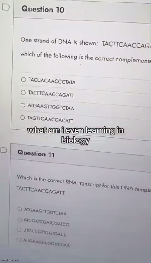 "TRALALILO TRALALA" ahh lesson | made w/ Imgflip meme maker
