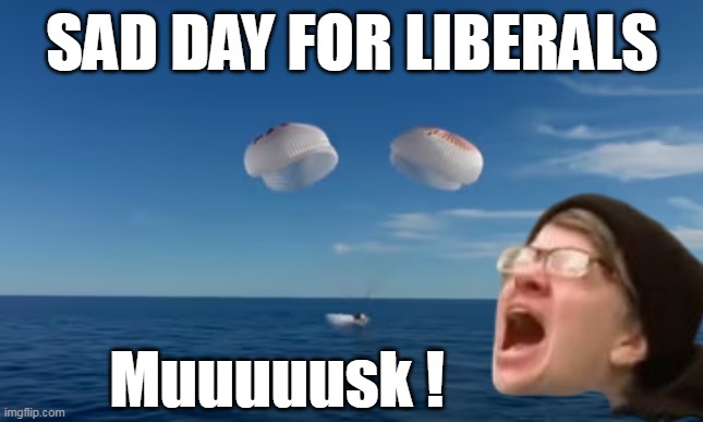 Could've been as gratifying as Ashli Babbit | SAD DAY FOR LIBERALS; Muuuuusk ! | image tagged in lib musk rescue landing meme | made w/ Imgflip meme maker