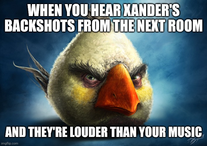 Xanders name echoing wild and loud | WHEN YOU HEAR XANDER'S BACKSHOTS FROM THE NEXT ROOM; AND THEY'RE LOUDER THAN YOUR MUSIC | image tagged in real white angry bird | made w/ Imgflip meme maker