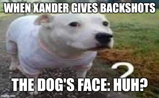 Dog question mark | WHEN XANDER GIVES BACKSHOTS; THE DOG'S FACE: HUH? | image tagged in dog question mark | made w/ Imgflip meme maker