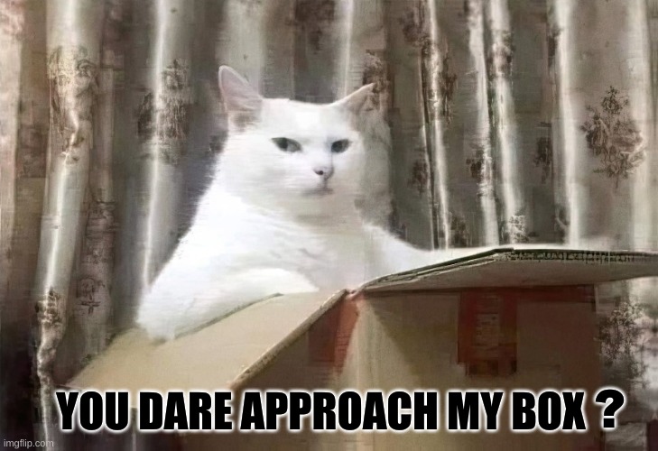 Cat in a Box | YOU DARE APPROACH MY BOX; ? | image tagged in cat in a box,how dare you,furry,smudge the cat,the most interesting cat in the world | made w/ Imgflip meme maker