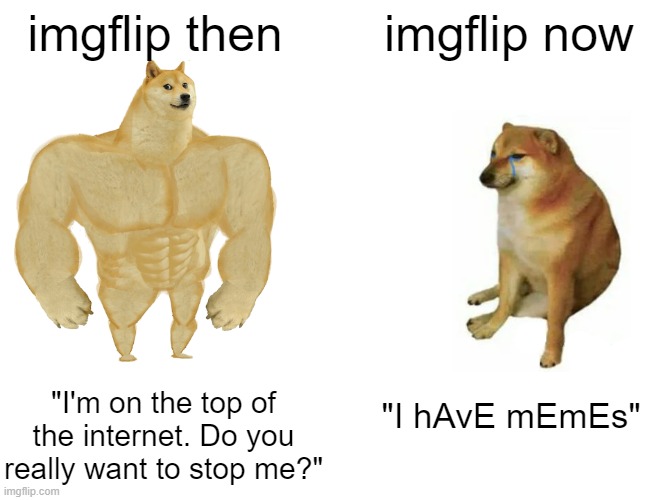 I miss the old days. | imgflip then; imgflip now; "I'm on the top of the internet. Do you really want to stop me?"; "I hAvE mEmEs" | image tagged in memes,buff doge vs cheems | made w/ Imgflip meme maker