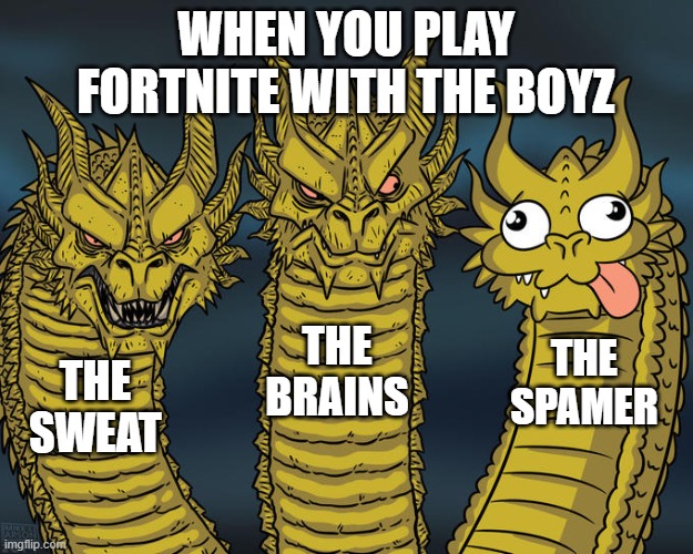 Three-headed Dragon | WHEN YOU PLAY FORTNITE WITH THE BOYZ; THE BRAINS; THE SPAMER; THE SWEAT | image tagged in three-headed dragon | made w/ Imgflip meme maker