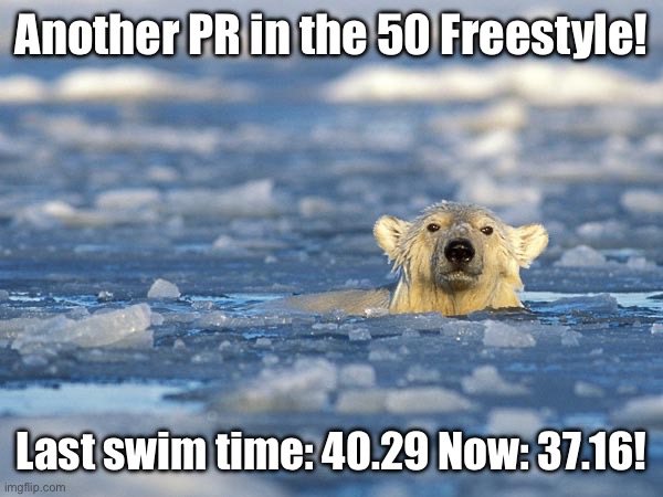 NEW SWIM TIME! | Another PR in the 50 Freestyle! Last swim time: 40.29 Now: 37.16! | image tagged in polar bear swim | made w/ Imgflip meme maker