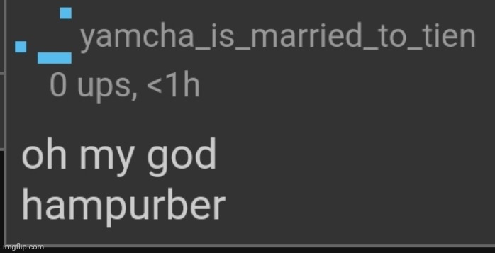 hampurber | image tagged in hampurber | made w/ Imgflip meme maker