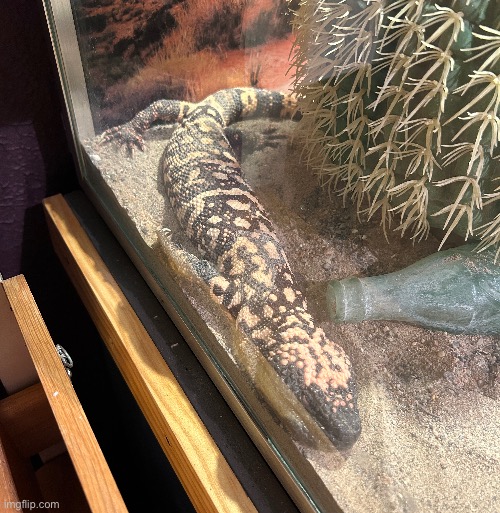 Asleep on the job | made w/ Imgflip meme maker