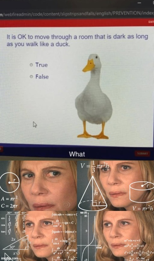 if it walks like a duck, talks like a duck, looks like a duck, then it's probably a squirrel. | image tagged in calculating meme,memez | made w/ Imgflip meme maker