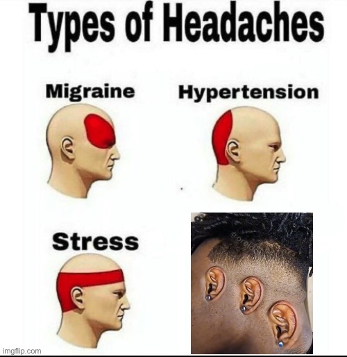 Types of Headaches meme | image tagged in types of headaches meme,ears,hearing,everything,you can't hear images,mom pick me up i'm scared | made w/ Imgflip meme maker