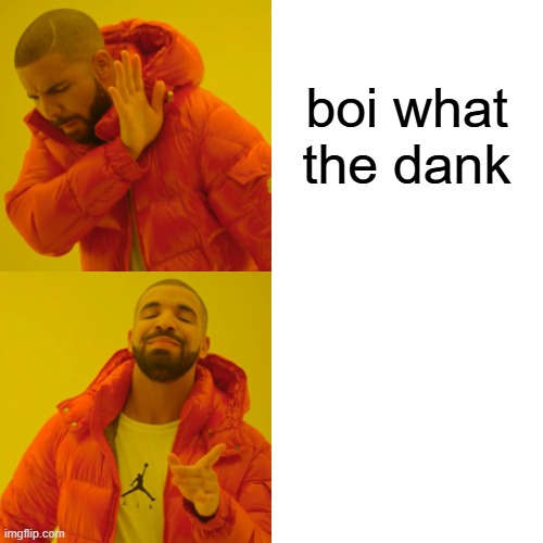 boi what the dank | image tagged in memes,drake hotline bling | made w/ Imgflip meme maker