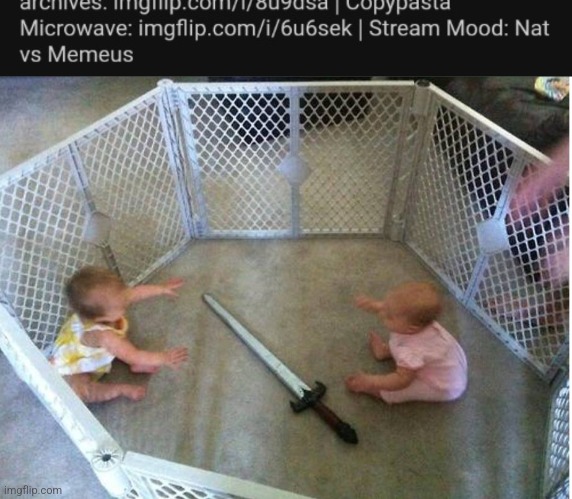 image tagged in baby fight | made w/ Imgflip meme maker