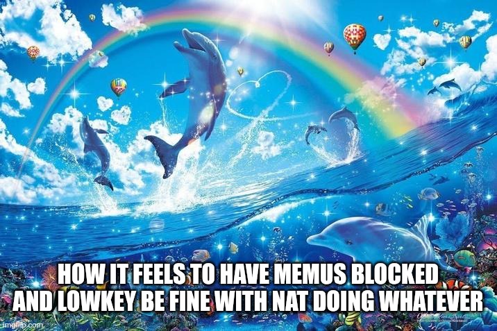 Happy dolphin rainbow | HOW IT FEELS TO HAVE MEMUS BLOCKED AND LOWKEY BE FINE WITH NAT DOING WHATEVER | image tagged in happy dolphin rainbow | made w/ Imgflip meme maker