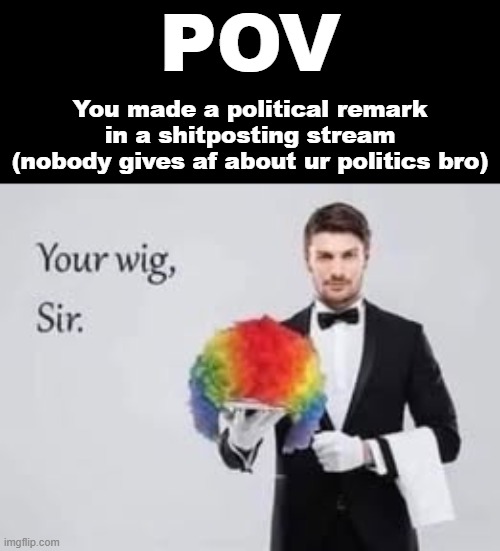 POV; You made a political remark in a shitposting stream (nobody gives af about ur politics bro) | made w/ Imgflip meme maker