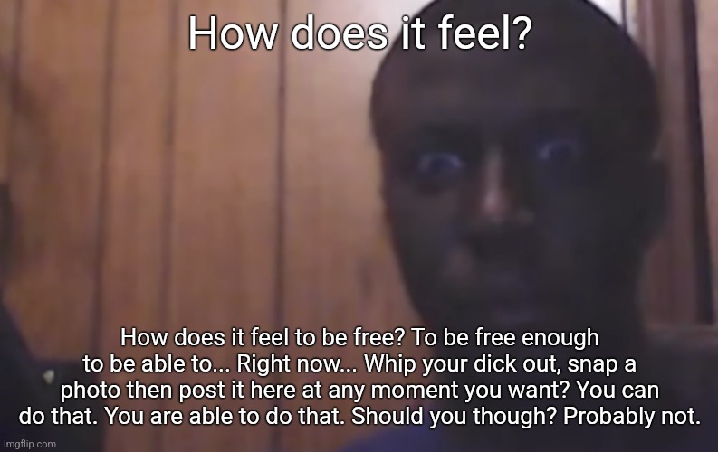 Omegle victim 4 | How does it feel? How does it feel to be free? To be free enough to be able to... Right now... Whip your dick out, snap a photo then post it here at any moment you want? You can do that. You are able to do that. Should you though? Probably not. | image tagged in omegle victim 4 | made w/ Imgflip meme maker