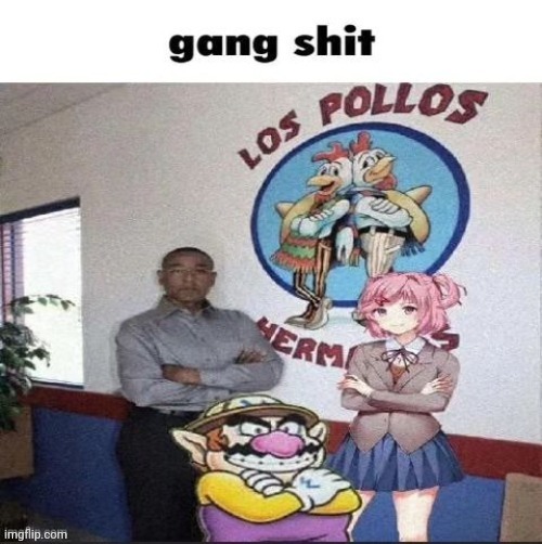 Gang shit | image tagged in gang shit | made w/ Imgflip meme maker