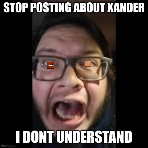 STOP. POSTING. ABOUT AMONG US | STOP POSTING ABOUT XANDER I DONT UNDERSTAND | image tagged in stop posting about among us | made w/ Imgflip meme maker