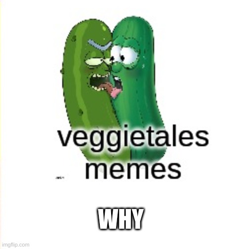 WHY | made w/ Imgflip meme maker