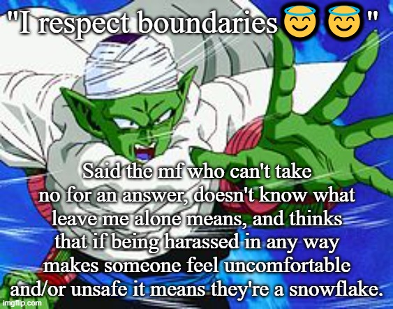 Piccolo | "I respect boundaries😇😇"; Said the mf who can't take no for an answer, doesn't know what leave me alone means, and thinks that if being harassed in any way makes someone feel uncomfortable and/or unsafe it means they're a snowflake. | image tagged in piccolo | made w/ Imgflip meme maker