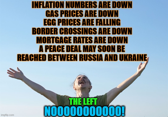 This just in | INFLATION NUMBERS ARE DOWN
GAS PRICES ARE DOWN
EGG PRICES ARE FALLING
BORDER CROSSINGS ARE DOWN
MORTGAGE RATES ARE DOWN
A PEACE DEAL MAY SOON BE REACHED BETWEEN RUSSIA AND UKRAINE; THE LEFT; NOOOOOOOOOOO! | image tagged in screaming at the sky enz,gas prices,eggs,border,peace,prices | made w/ Imgflip meme maker