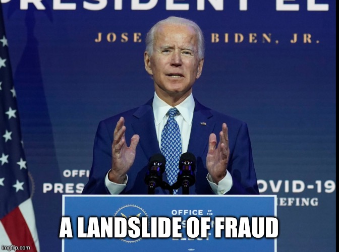 Voter Fraud | A LANDSLIDE OF FRAUD | image tagged in voter fraud | made w/ Imgflip meme maker