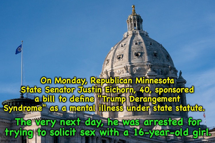 And so it goes... | On Monday, Republican Minnesota State Senator Justin Eichorn, 40, sponsored a bill to define "Trump Derangement Syndrome" as a mental illness under state statute. The very next day, he was arrested for trying to solicit sex with a 16-year-old girl. | made w/ Imgflip meme maker