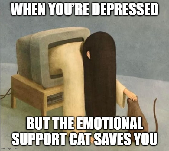 emotional support | WHEN YOU’RE DEPRESSED; BUT THE EMOTIONAL SUPPORT CAT SAVES YOU | image tagged in memes | made w/ Imgflip meme maker