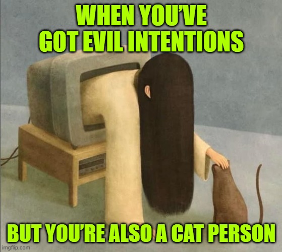 evil intentions | WHEN YOU’VE GOT EVIL INTENTIONS; BUT YOU’RE ALSO A CAT PERSON | image tagged in memes | made w/ Imgflip meme maker