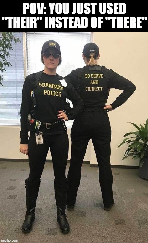 Grammar Police | POV: YOU JUST USED "THEIR" INSTEAD OF "THERE" | image tagged in memes | made w/ Imgflip meme maker