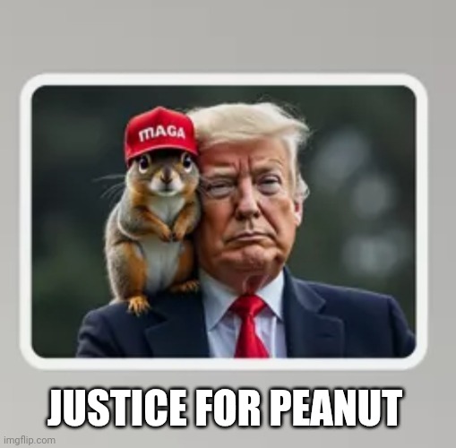 JUSTICE FOR PEANUT | made w/ Imgflip meme maker