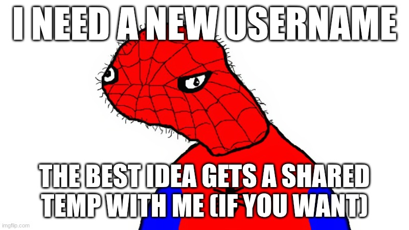 ngl my username sucks pls give me ideas | I NEED A NEW USERNAME; THE BEST IDEA GETS A SHARED TEMP WITH ME (IF YOU WANT) | image tagged in real spiderman | made w/ Imgflip meme maker