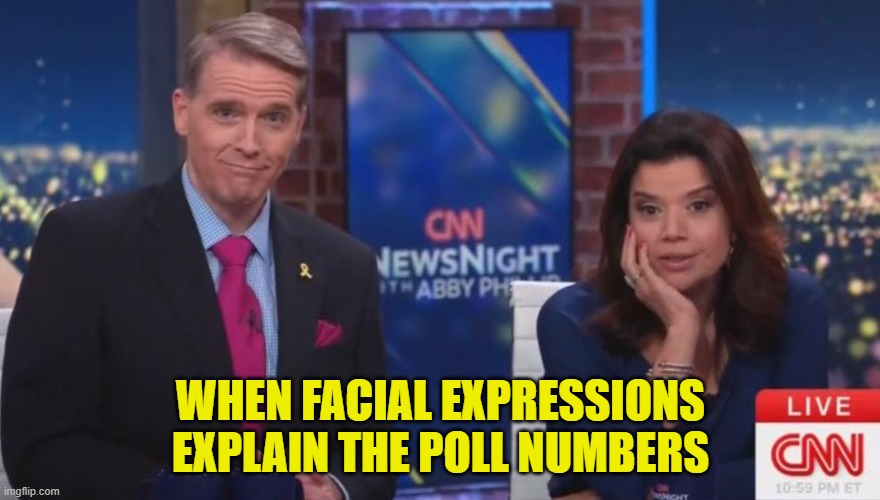 Just one look, thats all it took | WHEN FACIAL EXPRESSIONS EXPLAIN THE POLL NUMBERS | image tagged in cnn,polls,democrats,maga,doge,elon musk | made w/ Imgflip meme maker