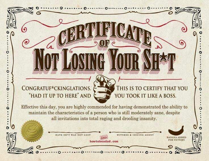 Certificate of Not Losing Your Shit Blank Meme Template