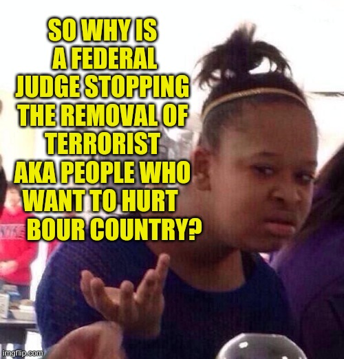 Haven't We Had A War On Terror For Decades Now? | SO WHY IS  A FEDERAL JUDGE STOPPING THE REMOVAL OF TERRORIST AKA PEOPLE WHO WANT TO HURT       BOUR COUNTRY? | image tagged in memes,black girl wat,politics,remove,terrorists,i don't think so | made w/ Imgflip meme maker