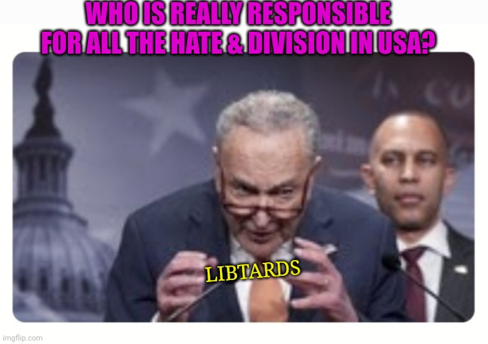 WHO IS REALLY RESPONSIBLE FOR ALL THE HATE & DIVISION IN USA? LIBTARDS | image tagged in libtard,moron,haters,losers | made w/ Imgflip meme maker