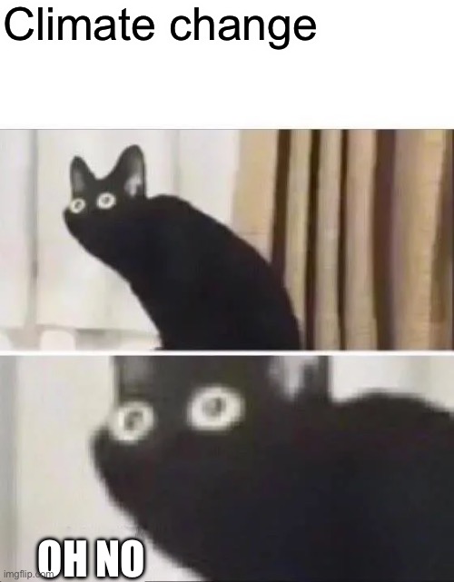 Oh No Black Cat | Climate change; OH NO | image tagged in oh no black cat | made w/ Imgflip meme maker